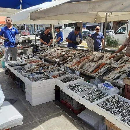 Eleni's House-near The Old Railway Station Διαμέρισμα Ναύπλιο